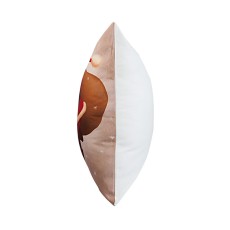 FUNDA COJIN DISEÑO SANTA #3