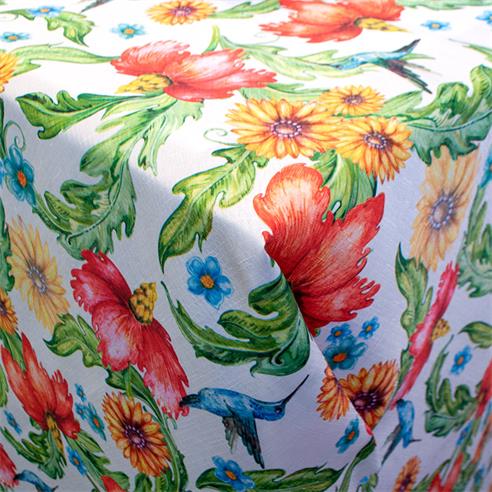 Linette est. "colibri"  1.60 mt. 2