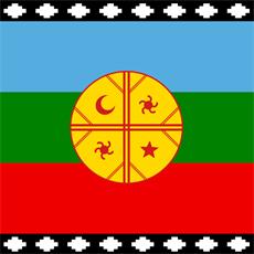 BANDERA EST. MAPUCHE 60 X 100