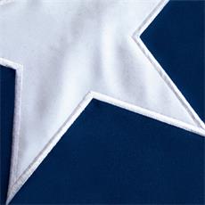 BANDERA POLIESTER 90X135