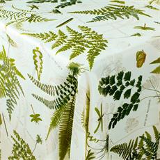 LINETTE BOTANICA